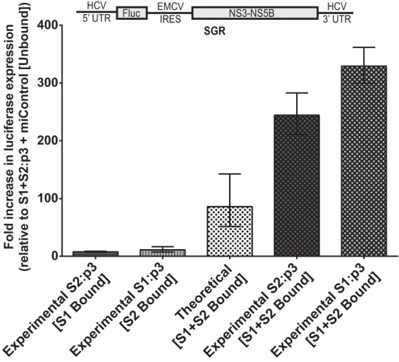 FIG 6