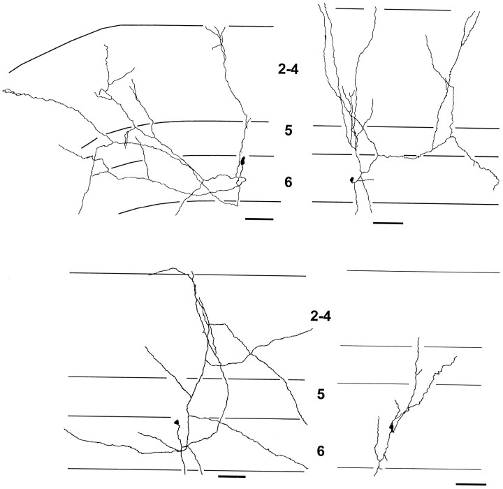 Fig. 5.