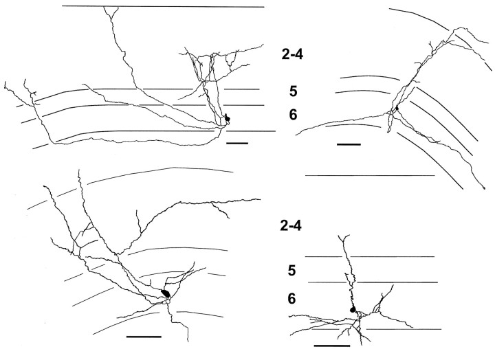 Fig. 3.