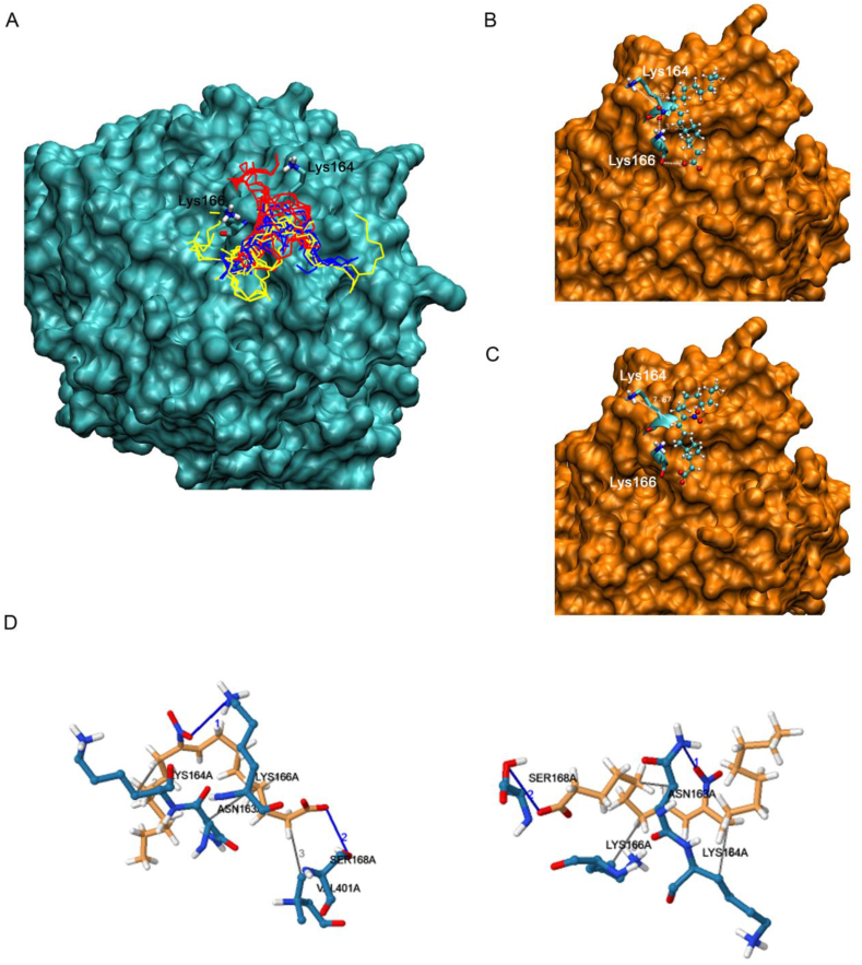 Fig. 4