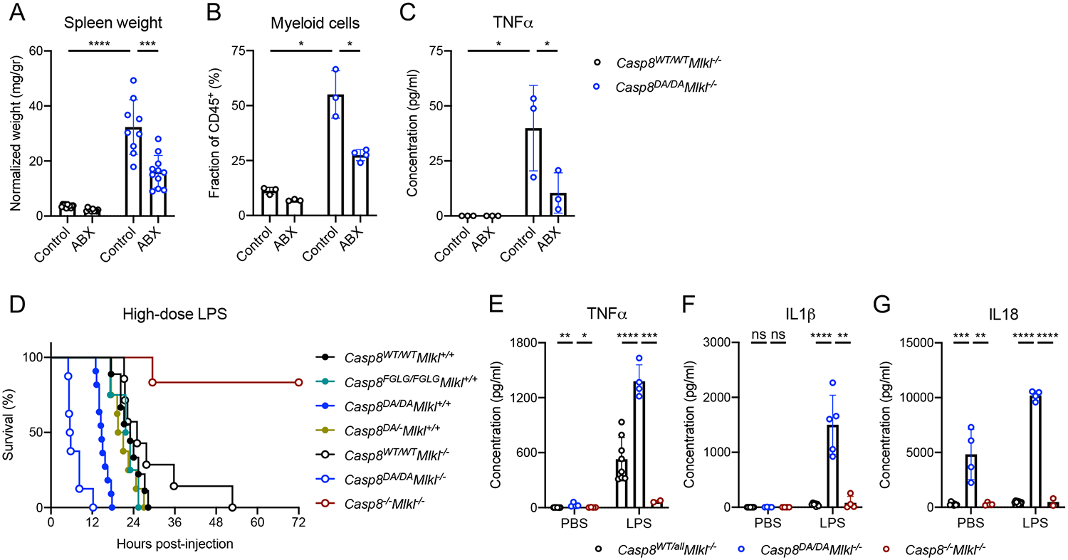 Figure 3: