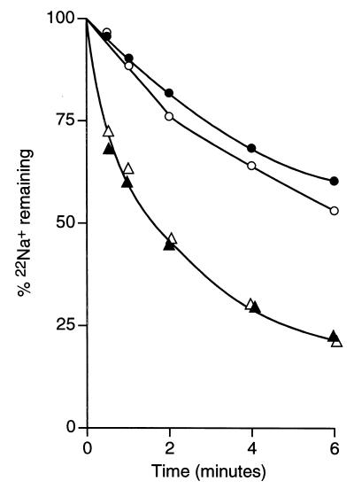 FIG. 5