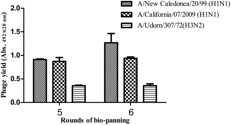 Figure 5