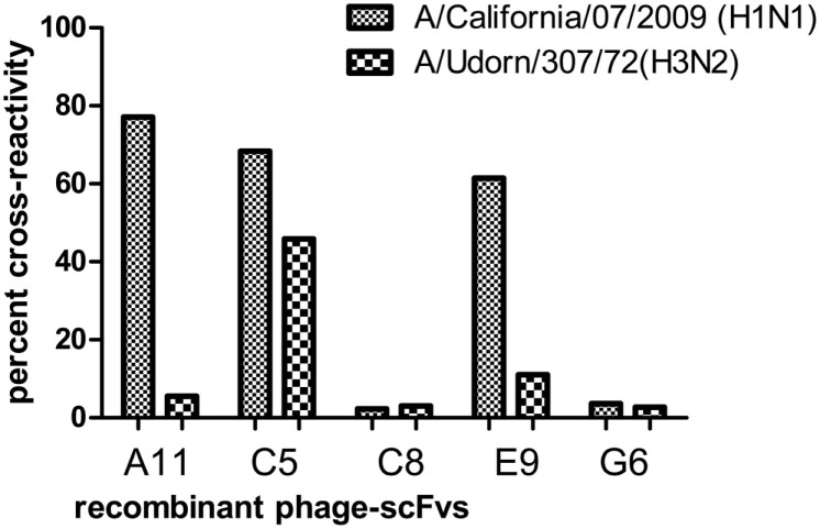 Figure 6