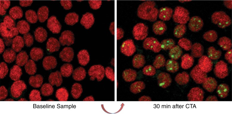 Figure 2b: