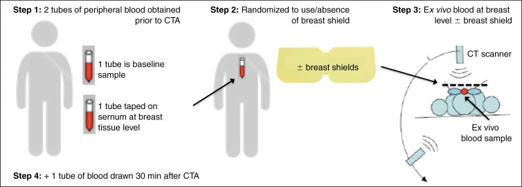 Figure 2a: