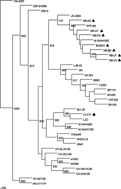 Fig. 1