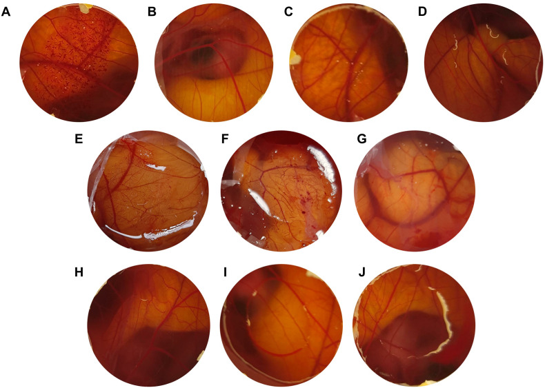 Fig. 5