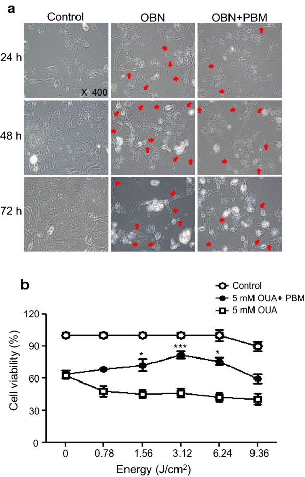 Fig. 3