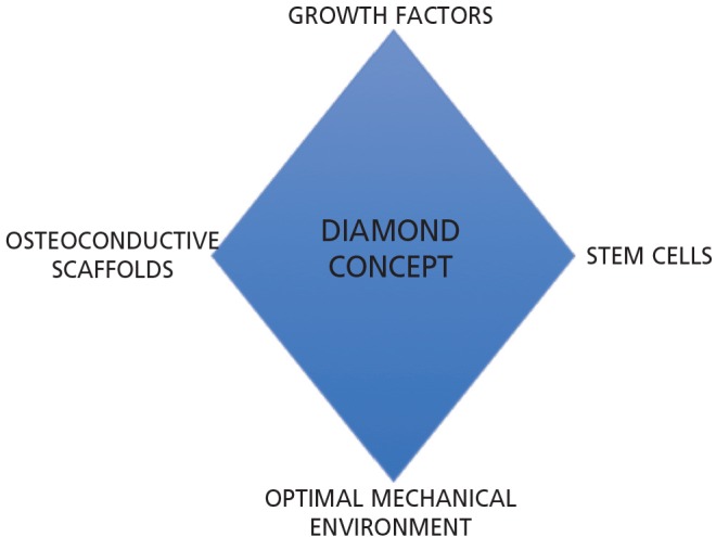 Fig. 2: