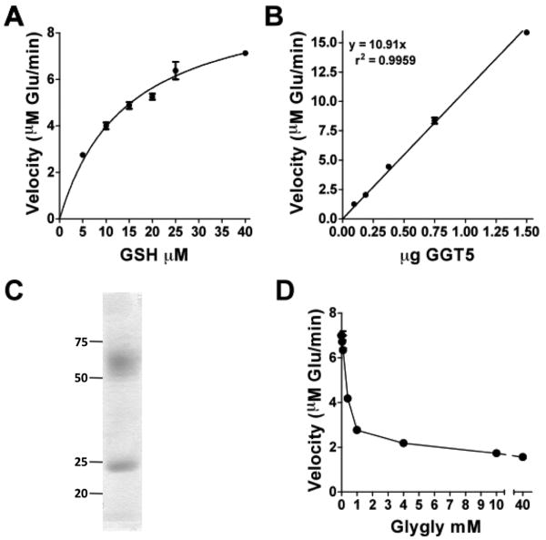 Fig. 4