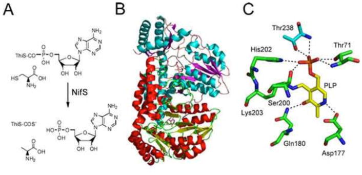 Figure 6