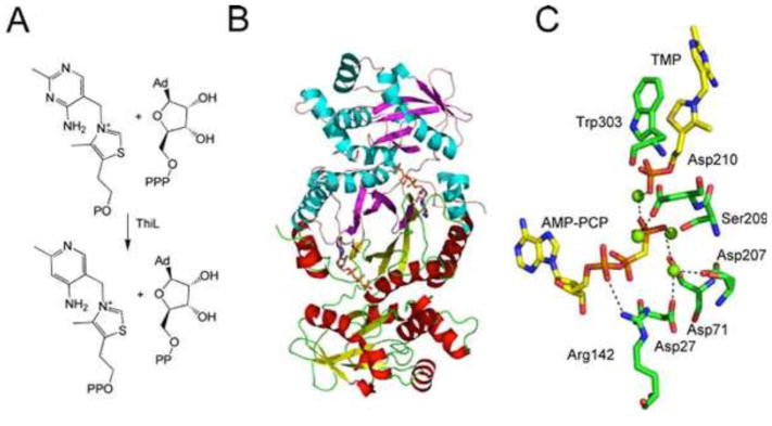 Figure 16