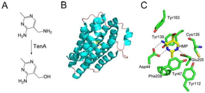 Figure 20