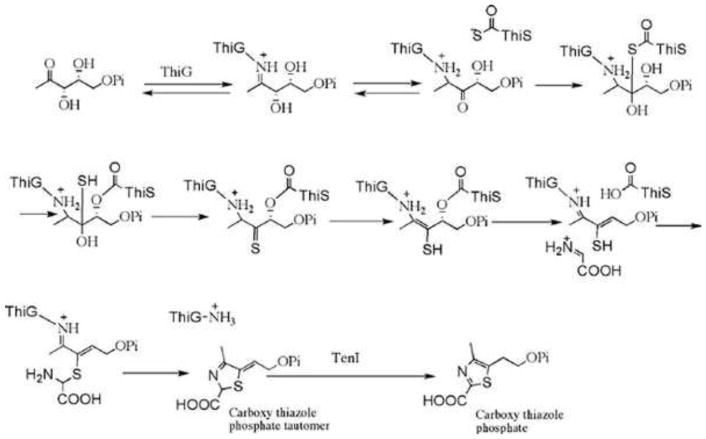 Figure 9