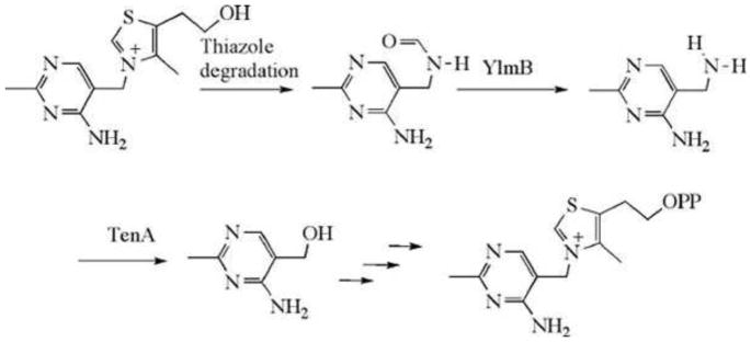 Figure 19