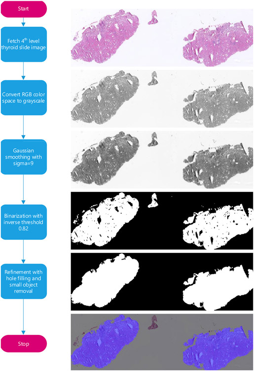 Fig. 4.