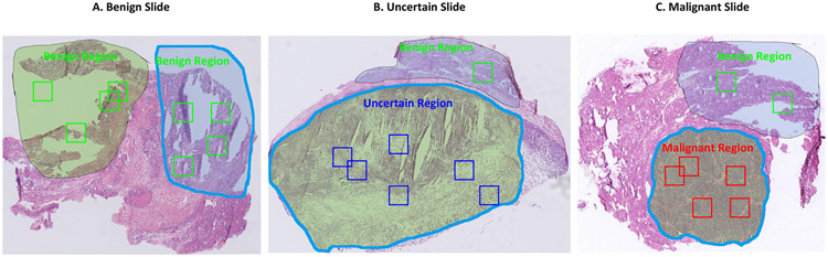 Fig. 3.