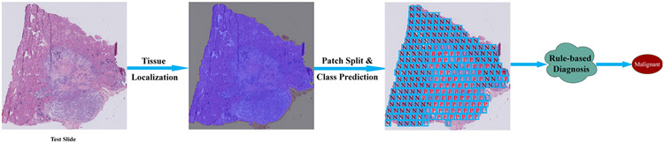 Fig. 7.