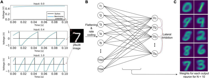 FIGURE 3