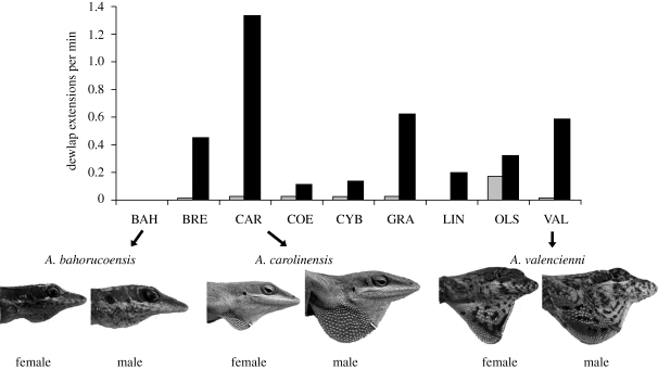 Figure 2.