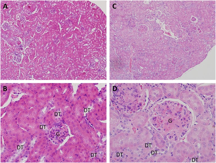 Fig 4