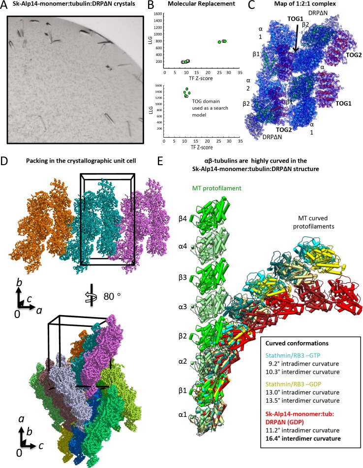 Figure 5—figure supplement 2.