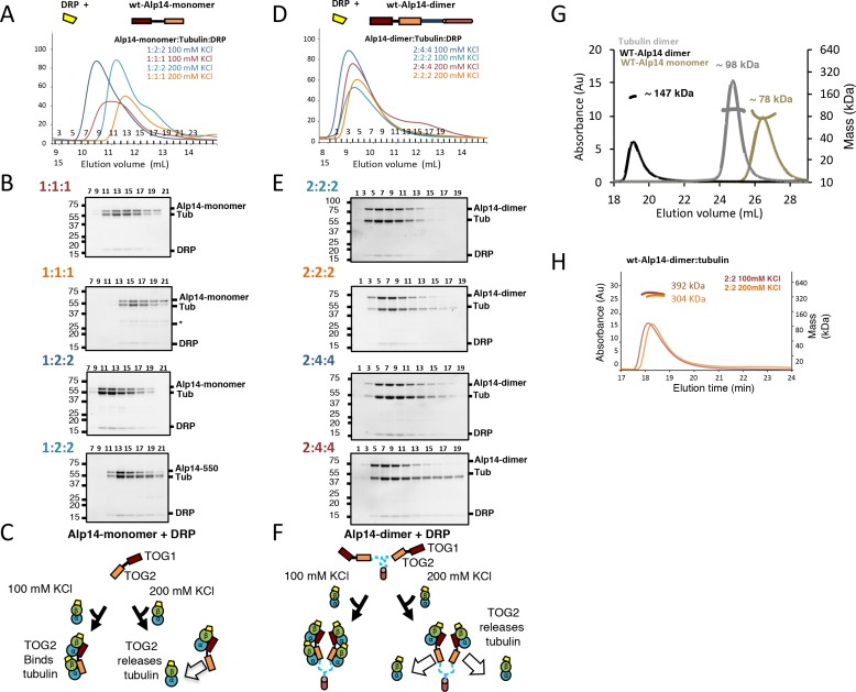 Figure 1—figure supplement 2.