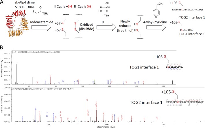 Figure 3—figure supplement 1.