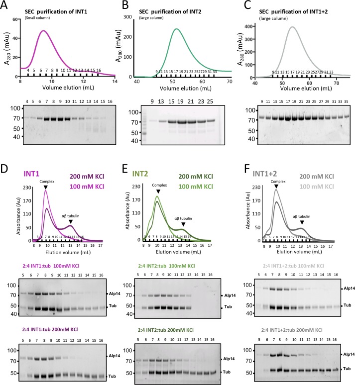 Figure 4—figure supplement 1.