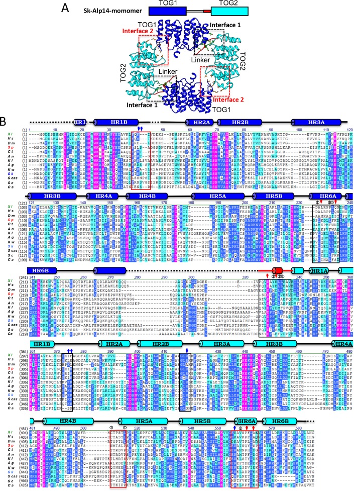 Figure 2—figure supplement 2.