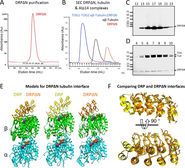 Figure 5—figure supplement 1.