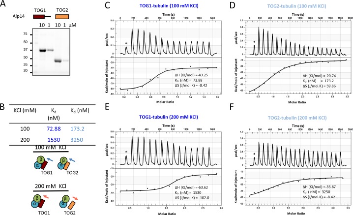 Figure 1—figure supplement 3.