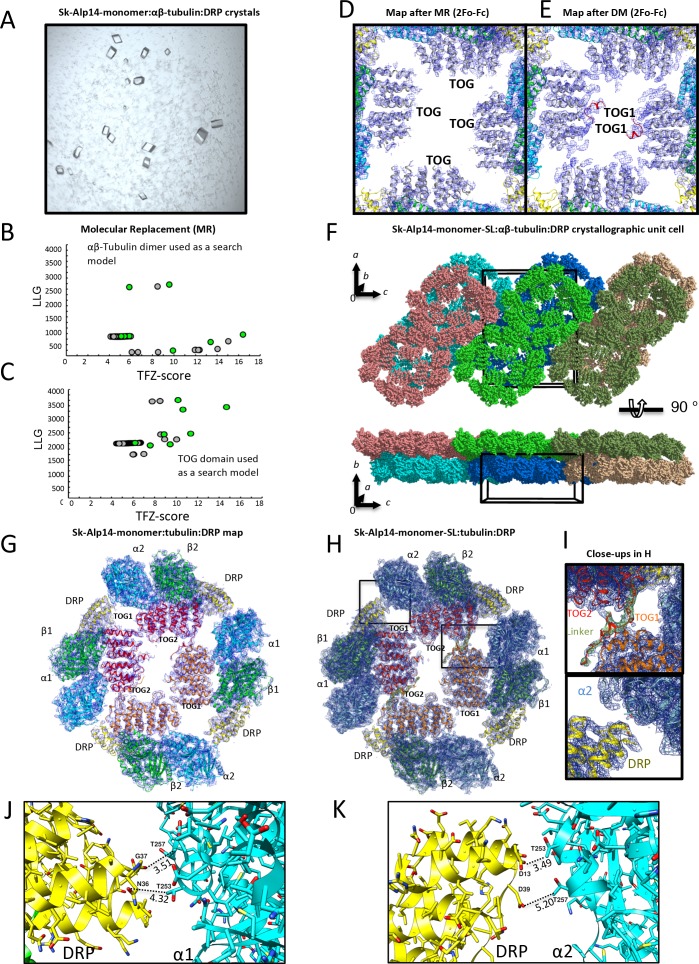 Figure 2—figure supplement 1.