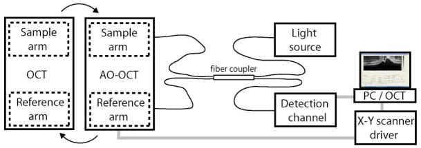 Fig. 1