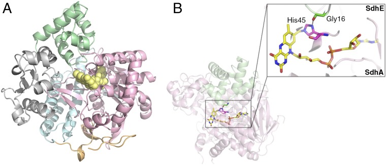 Fig. 2.