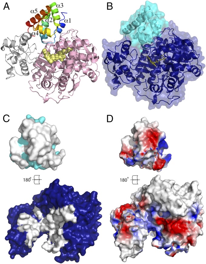 Fig. 3.