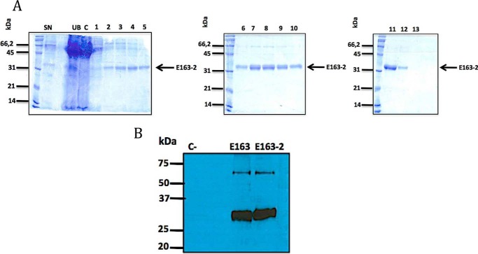 Figure 2.