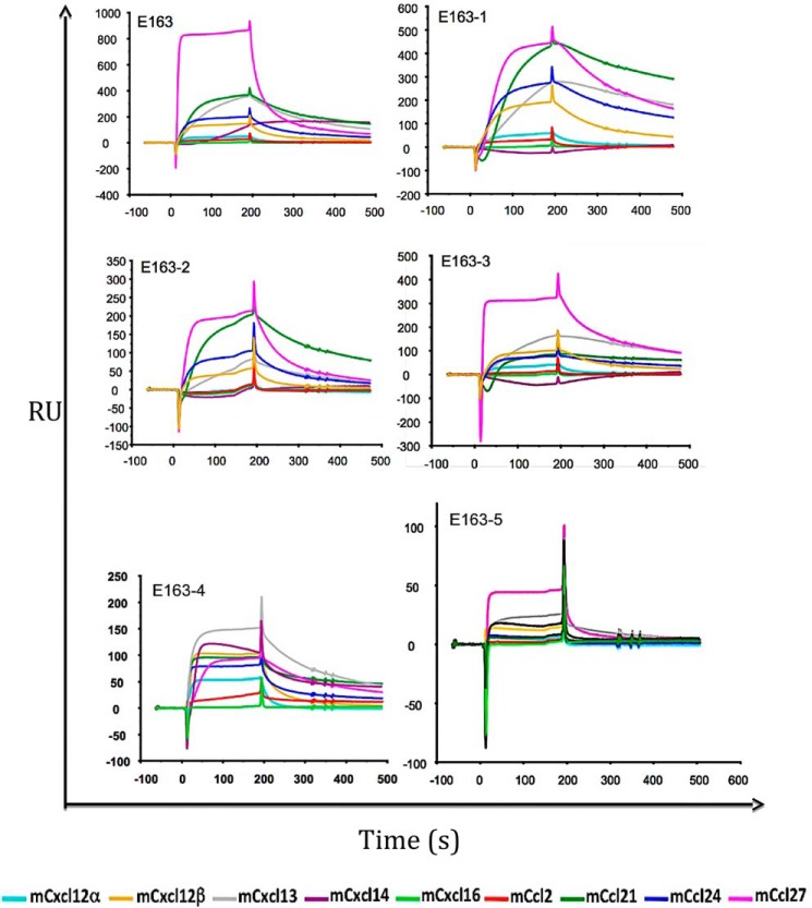 Figure 5.