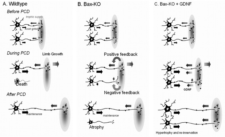 Figure 9.