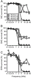 FIGURE 7 –