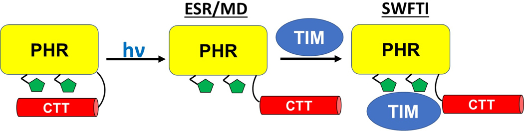 Figure 6: