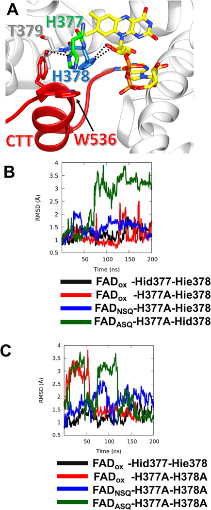 Figure 5: