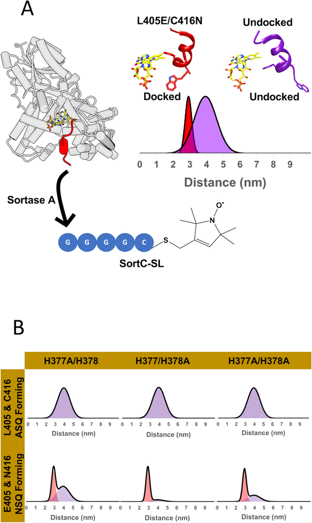 Figure 4: