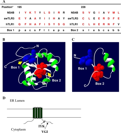 FIG. 1.