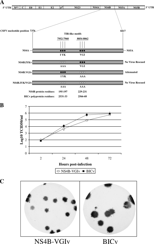 FIG. 2.