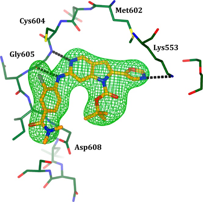 Figure 6