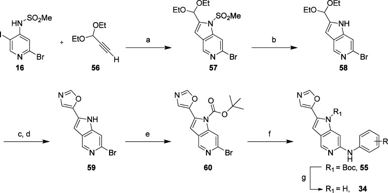 Scheme 5