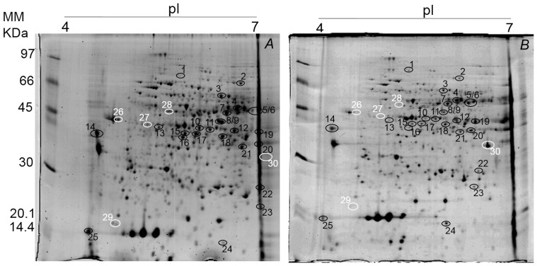 Figure 6