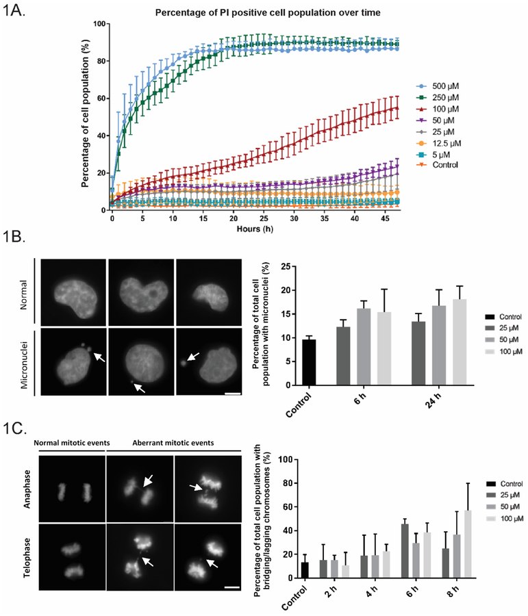 Fig 1.